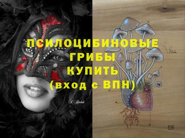 тгк Осташков