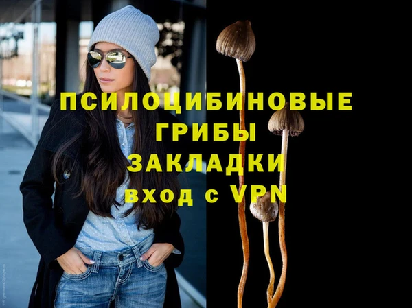 бутират Осинники