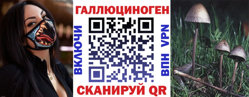 Галлюциногенные грибы Psilocybine cubensis  Купить закладки  Тулун 